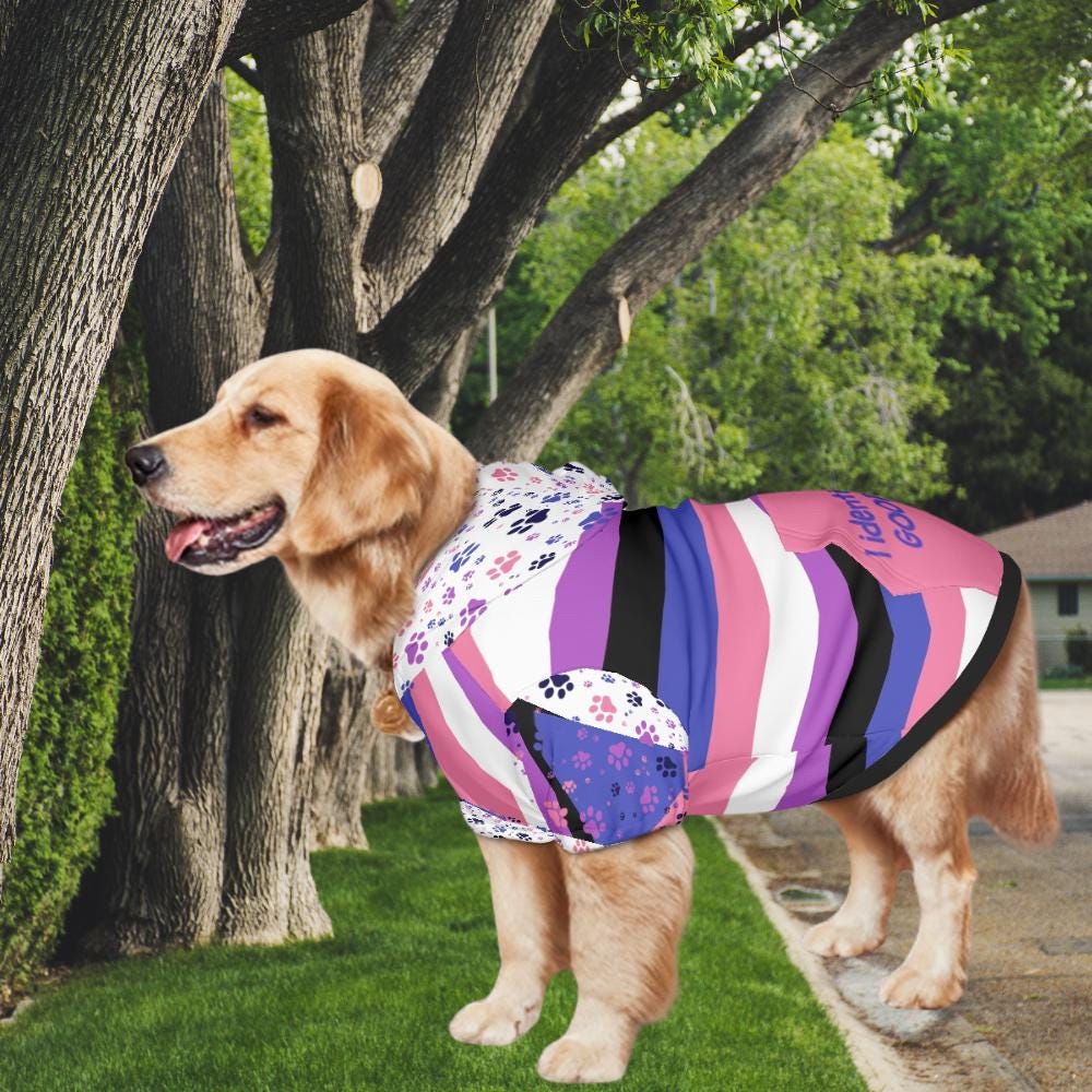 I Identify as a Good Dog Custom Hoodie, Gender Fluid Flag, Fathers Day Pride Gift, Mothers Day Gift, LGBTQ Family Gift