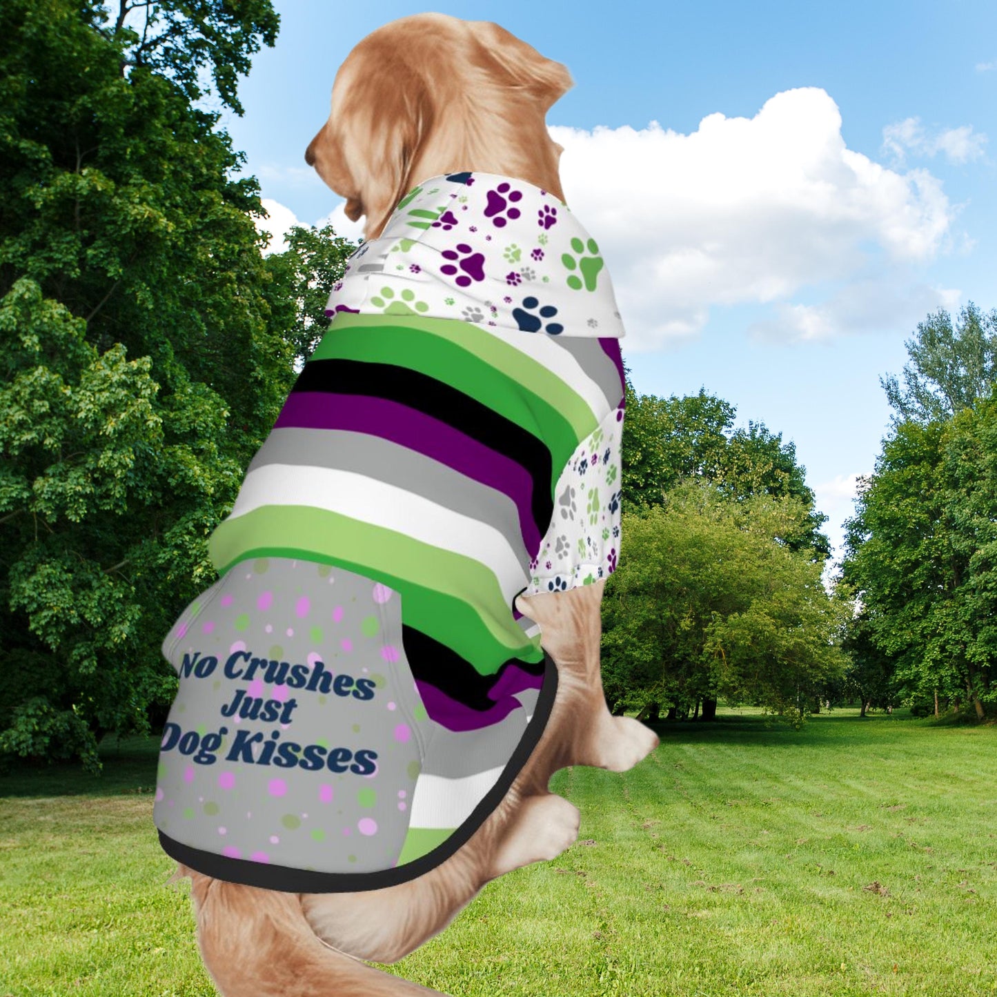 Aroace Pride Themed Dog Hoodie, Custom Dog Hoodie for your Outings, No Crushes, Just Dog Kisses, Fashionable Atire