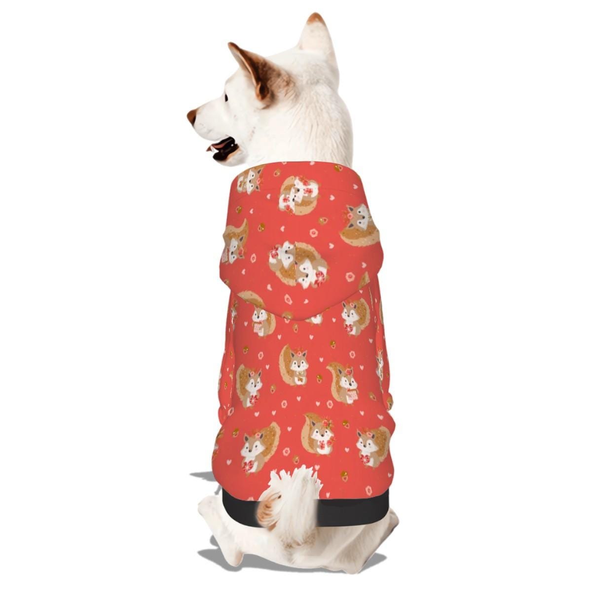 Pretty Girl Squirrel Sweater, Small Dog Hoodie Pet Clothes, Fashionable Dog Clothes to wear to the Shop or the Dog Park, Fathers day gift