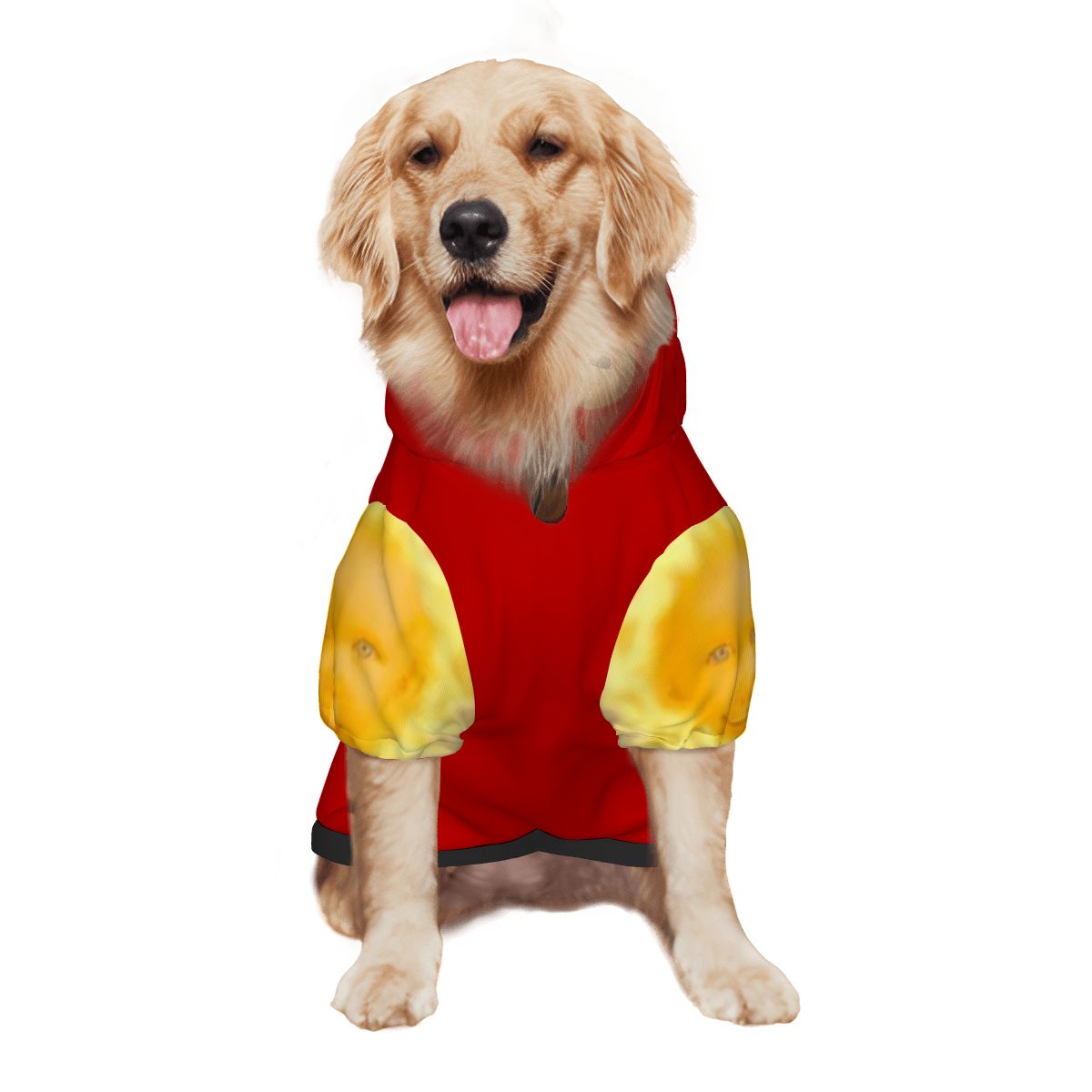 Po Teletubbies Red Dog Costume - Custom Pet Cosplay Attire, Halloween or Everyday Play, Retro dog Outfit