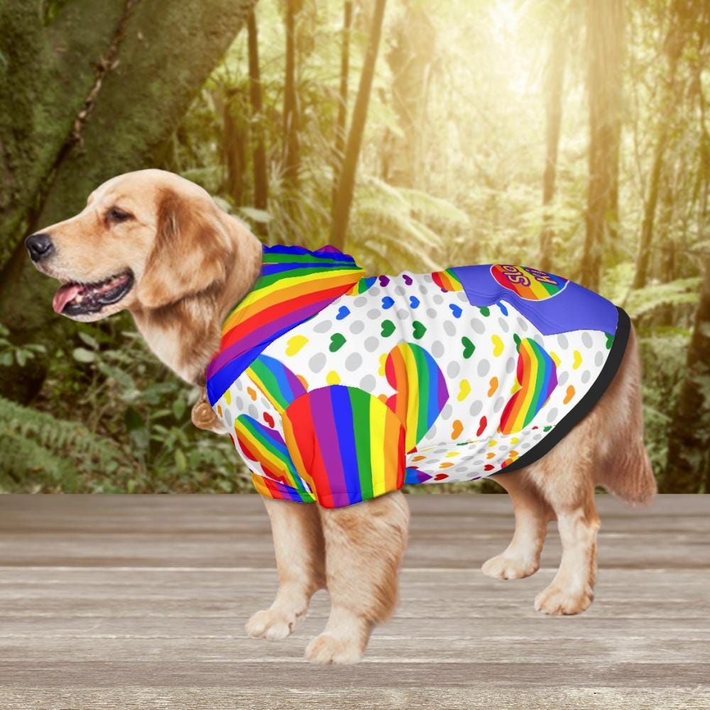 Celebrate Diversity with Pride Dog Hoodie, LGBTQ Pet Clothing, Sizes S - XXL, Great Gift for Pet Parents, gift for dog mom