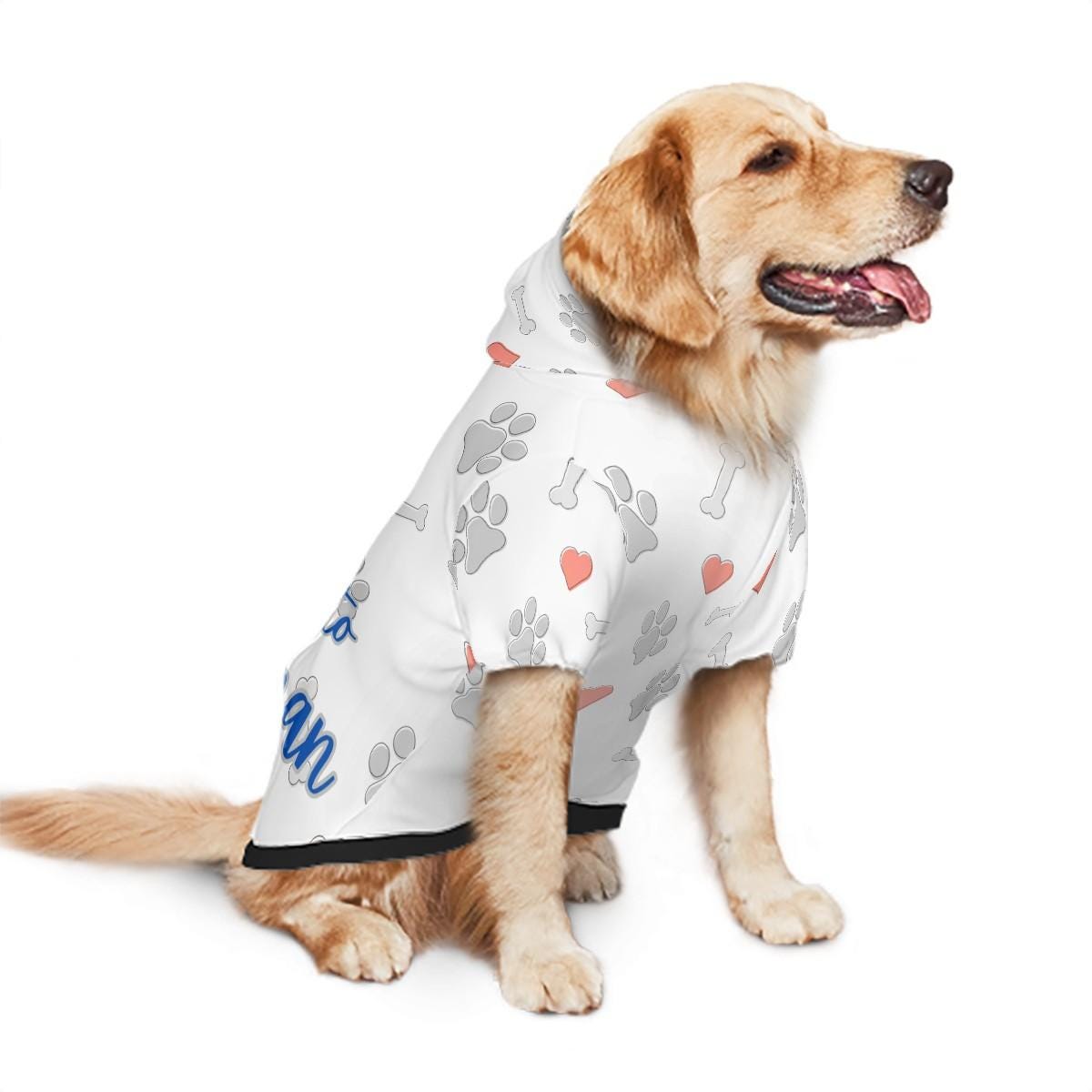 Ready for Park Fashion, Dog Hoodie, My Heart Belongs to My Human, White with Grey Hearts, Great Gift for Fathers Day