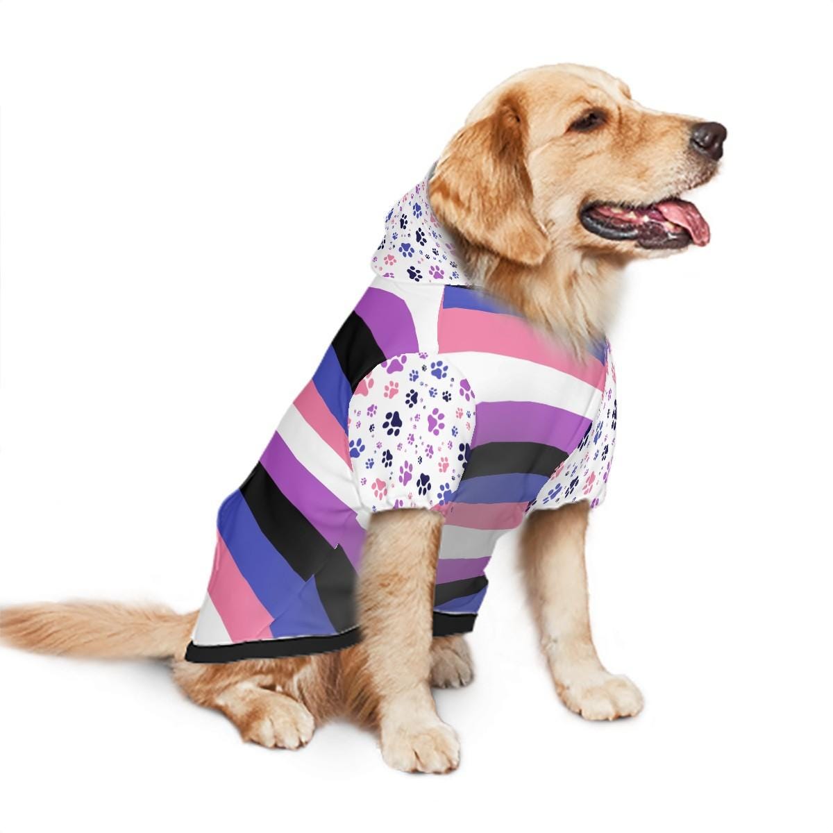 I Identify as a Good Dog Custom Hoodie, Gender Fluid Flag, Fathers Day Pride Gift, Mothers Day Gift, LGBTQ Family Gift