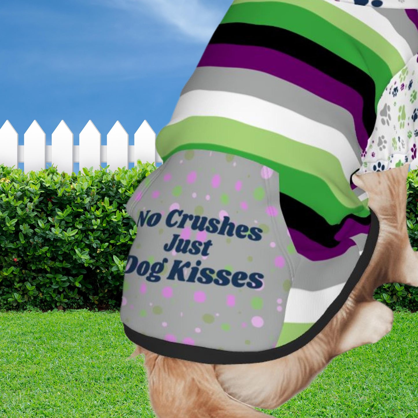 Aroace Pride Themed Dog Hoodie, Custom Dog Hoodie for your Outings, No Crushes, Just Dog Kisses, Fashionable Atire
