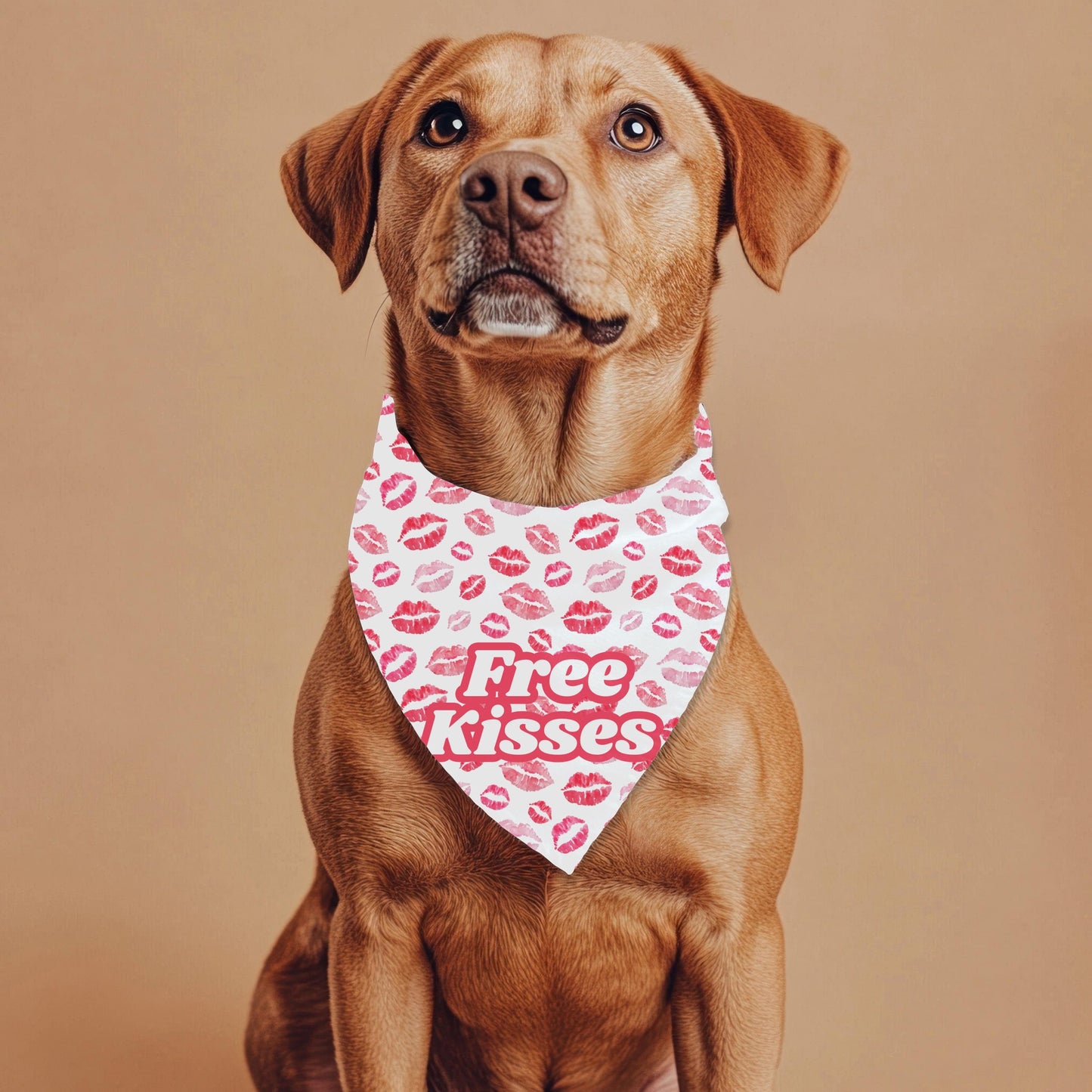 Sun's Out, Tongue's Out, Large Dog Bandana, Free Kisses, Dog Fashion Scarf, Where out to the Park and in the Neighborhood
