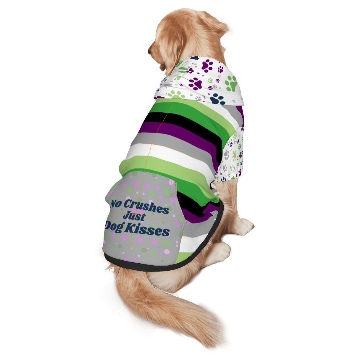 Aroace Pride Themed Dog Hoodie, Custom Dog Hoodie for your Outings, No Crushes, Just Dog Kisses, Fashionable Atire