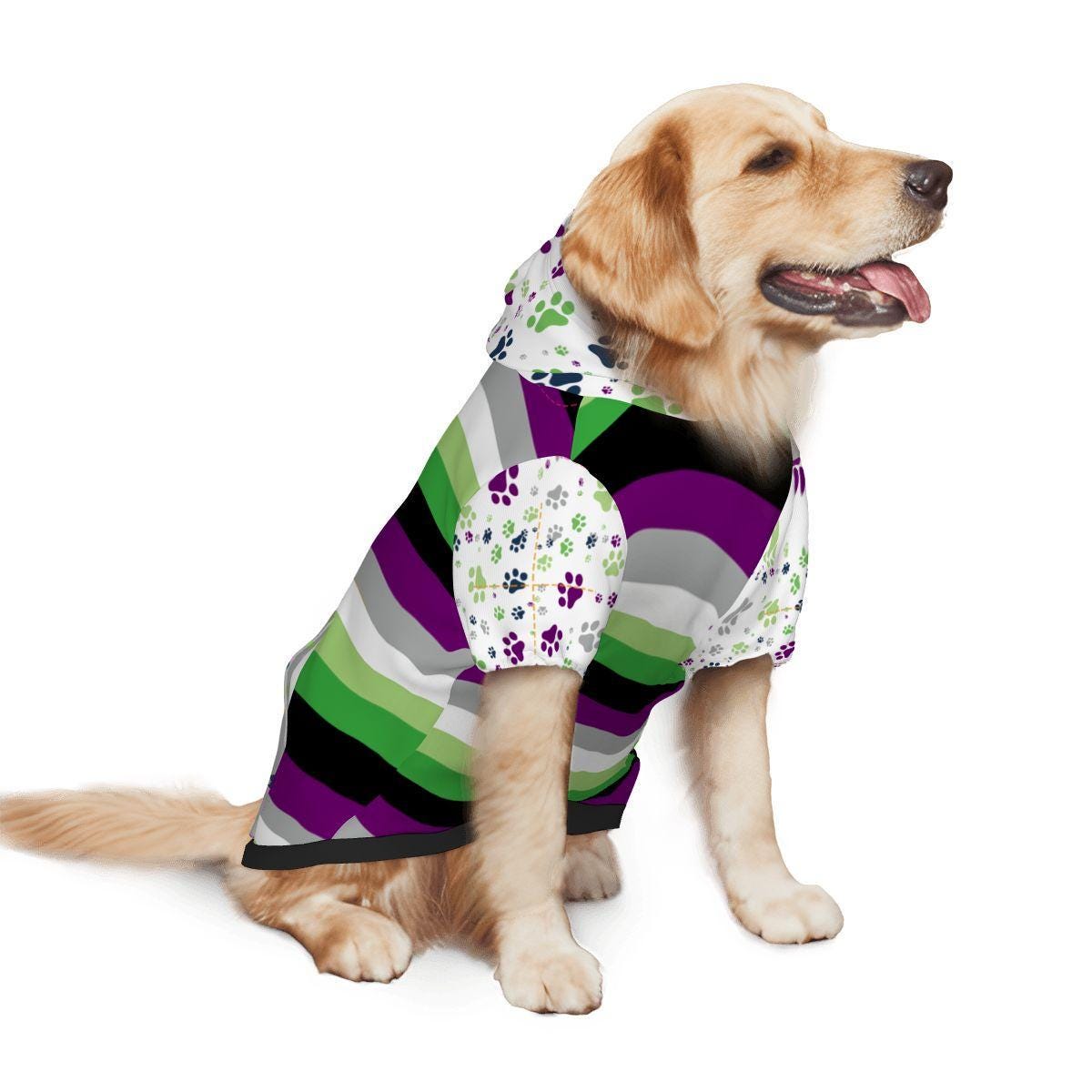 Aroace Pride Themed Dog Hoodie, Custom Dog Hoodie for your Outings, No Crushes, Just Dog Kisses, Fashionable Atire