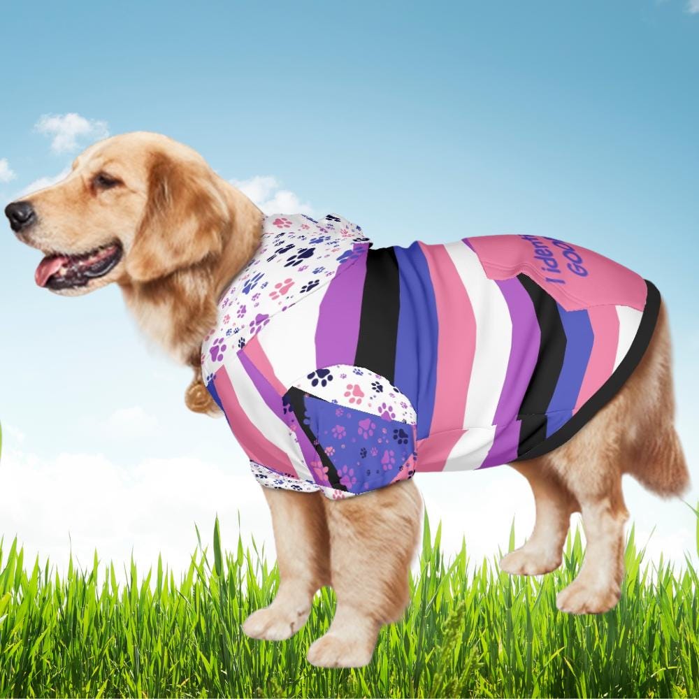 I Identify as a Good Dog Custom Hoodie, Gender Fluid Flag, Fathers Day Pride Gift, Mothers Day Gift, LGBTQ Family Gift