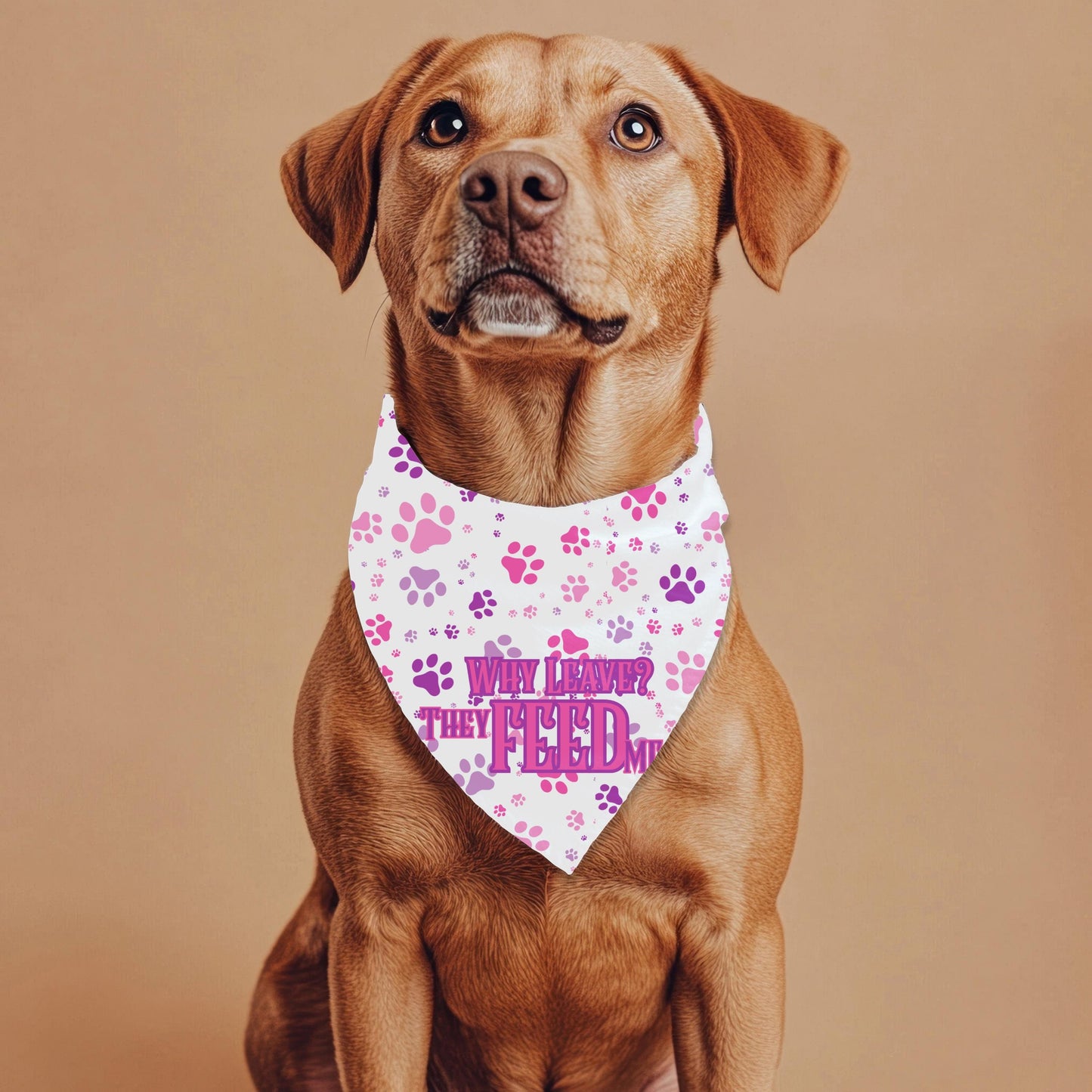 Delightful Dog Fashionista Bandana - Wearable Whimsy for Your Pooch, Still Live with Parents, why leave