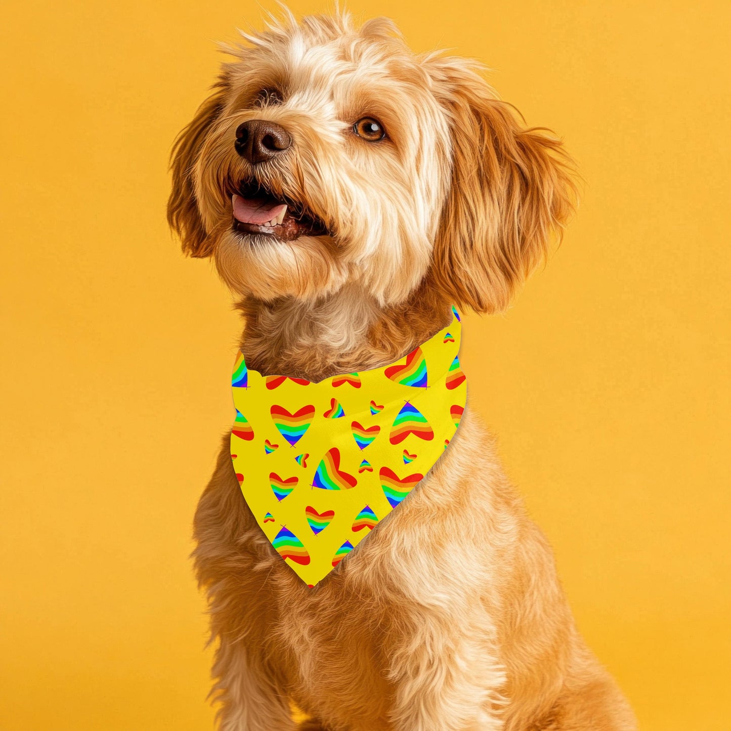 Small Dog Pride Pet Bandana, Fashionable Dog Bandana, Great Fashion for Walks in the Dog Park and to get a Pup Cup, A Must Have
