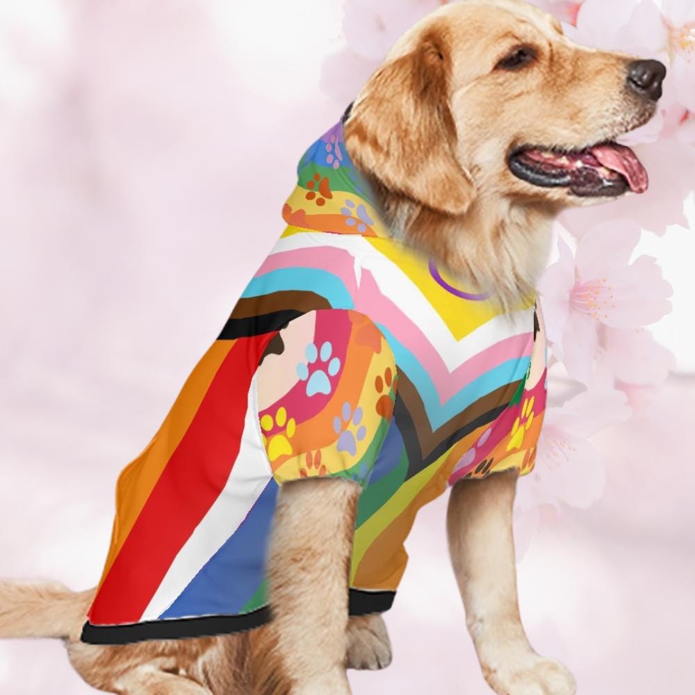 Diverse Pride Dog Hoodie - Rainbow Flag Pet Clothing, All Inclusive Flag, Pefect for Furry Friend for walks to the park, Pride Parade