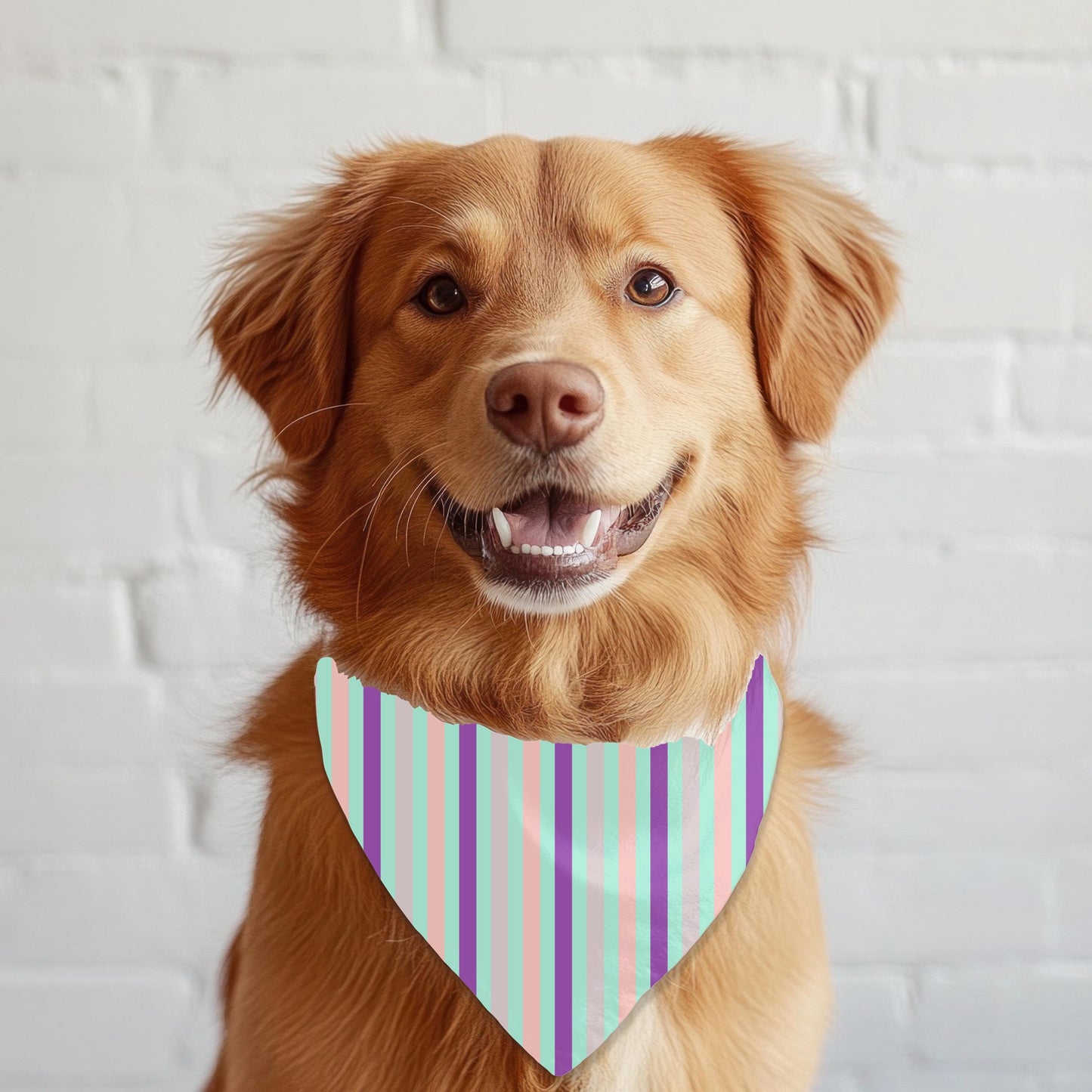 Dog Hair Don't Care Design, Funny Dog Bandana for Large Dogs, Great Dog Outfit for Walks to the Groomer or the Dog Park
