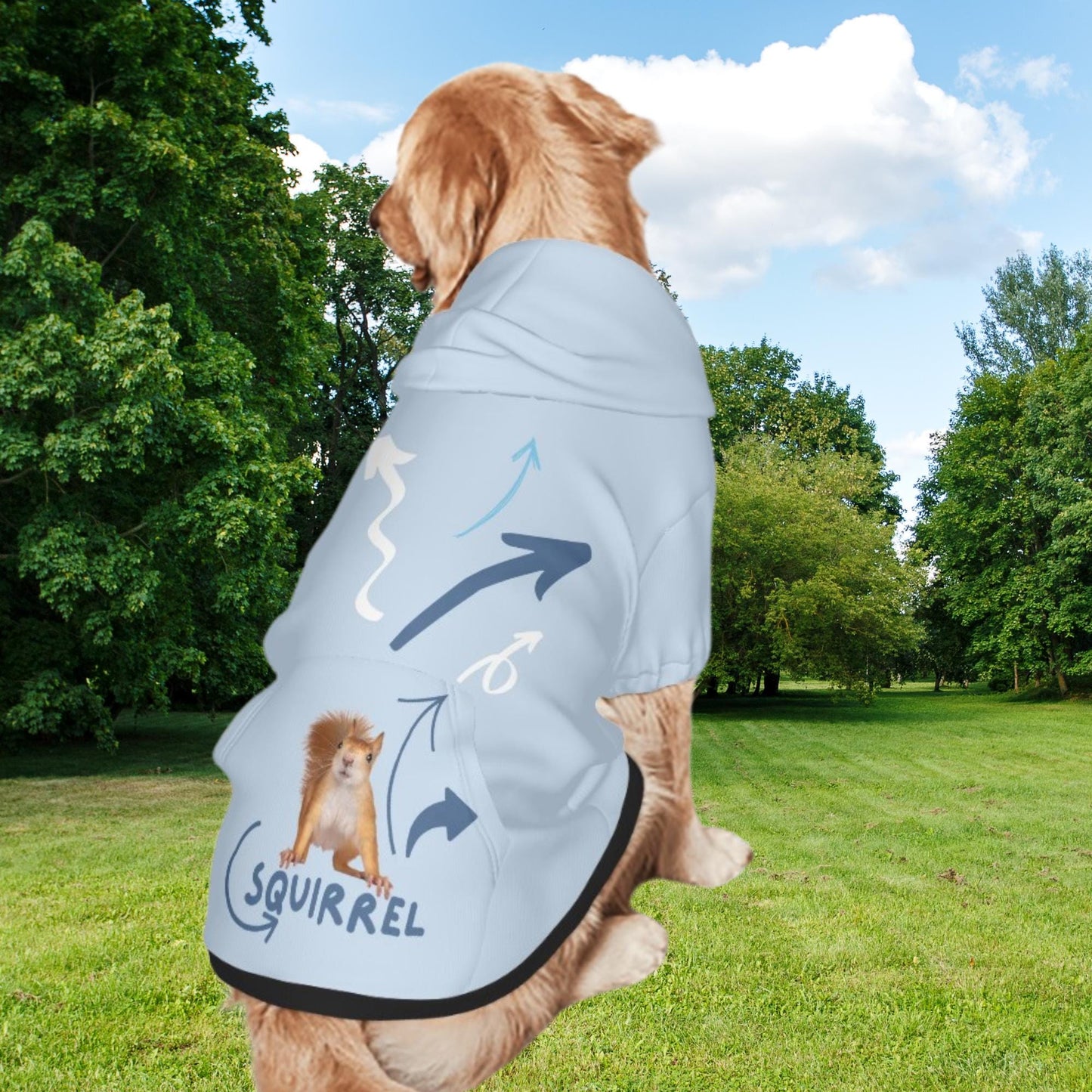 Squirrel, squirrel, always looking for squirrels, This is a great hoodie for the Park for that ADHD Dog, Comes in Sizes Small Through XXL