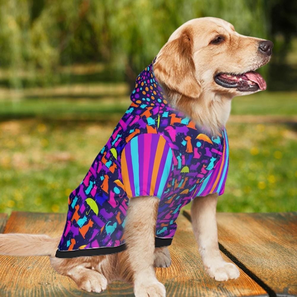Colorful Snack Pack Print Dog Hoodie in Blue - Large Pet Clothing, Mothers day Gift, Fathers Day Gift, Dog Lovers Gift