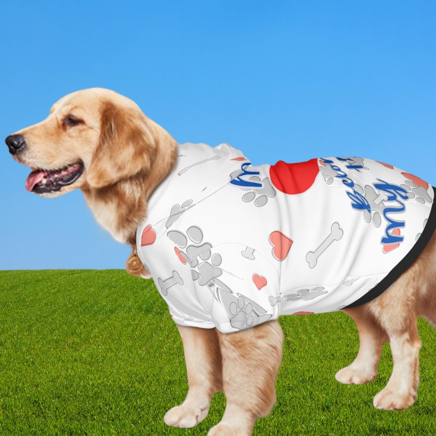 Ready for Park Fashion, Dog Hoodie, My Heart Belongs to My Human, White with Grey Hearts, Great Gift for Fathers Day