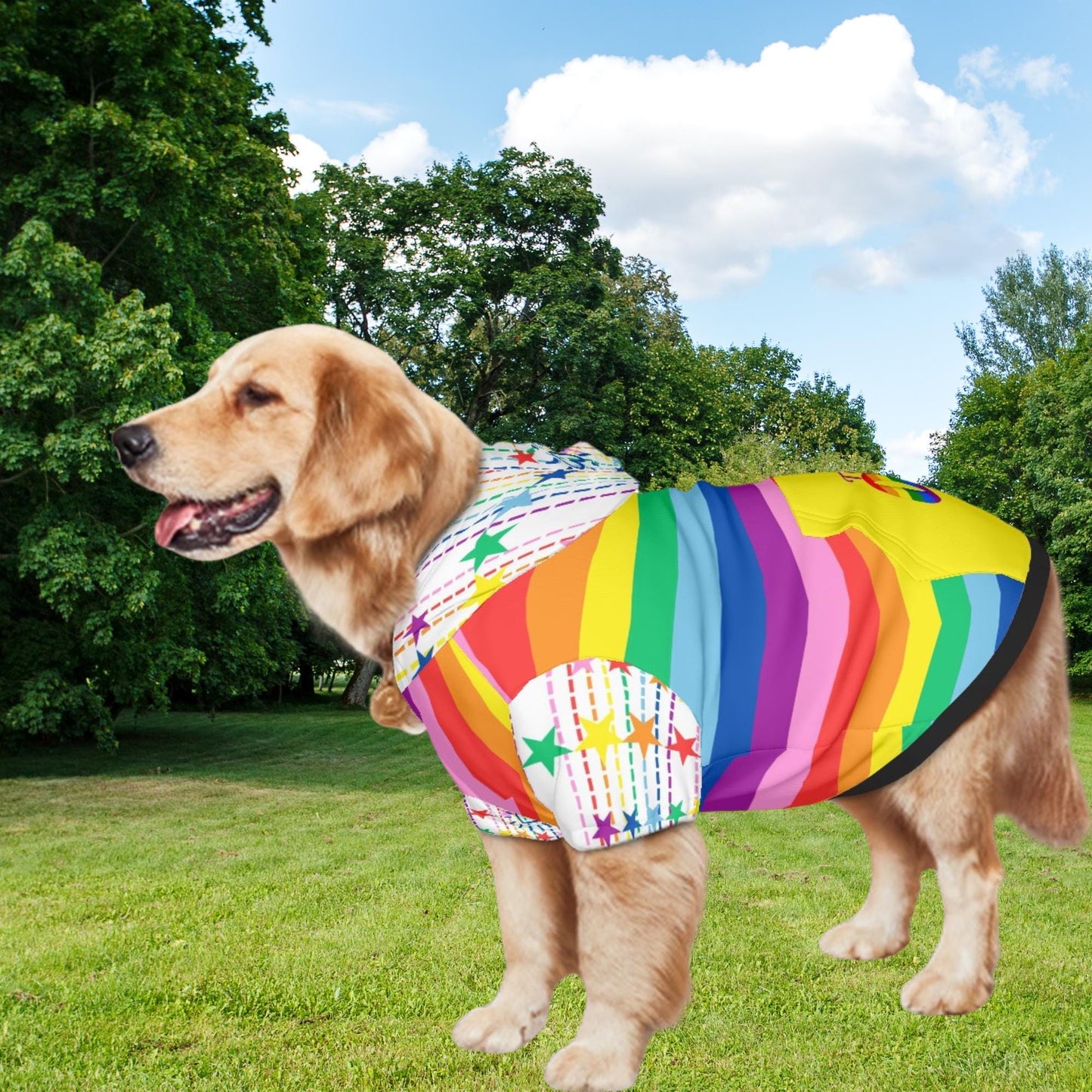 Diverse Pride Dog Hoodie - Rainbow Flag Pet Clothing Option, Dog Pride Hoodie, Hoodie size small to XXl