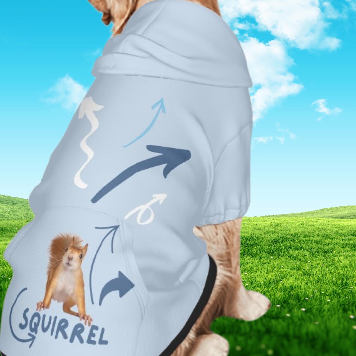 Squirrel, squirrel, always looking for squirrels, This is a great hoodie for the Park for that ADHD Dog, Comes in Sizes Small Through XXL