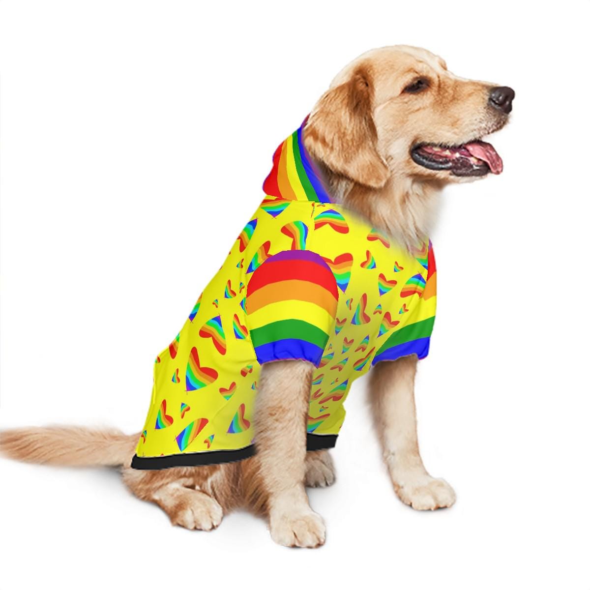 Diverse Pride Dog Hoodie - Rainbow Flag Pet Clothing, All Inclusive Flag, Pefect for Furry Friend for walks to the park, Pride Parade