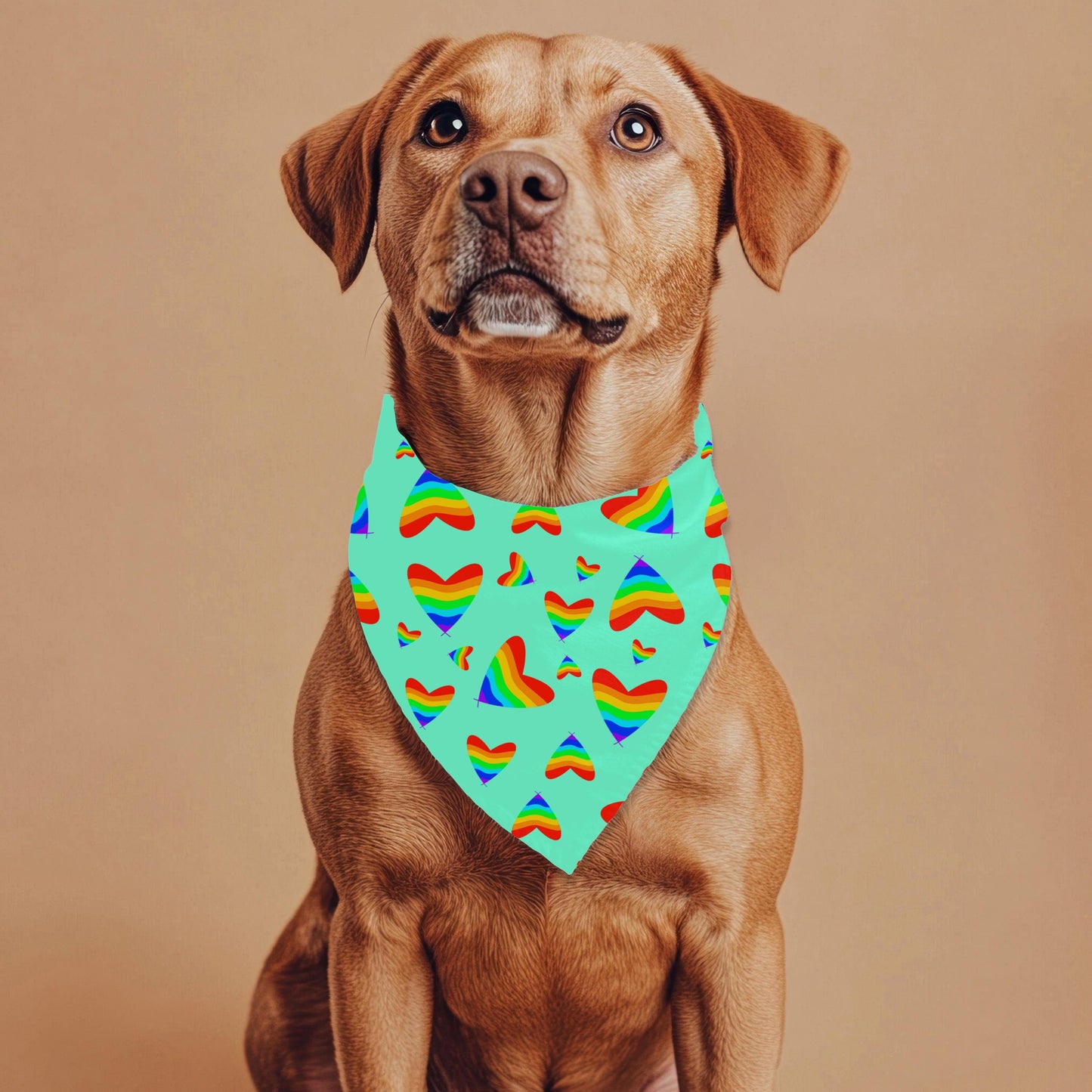 Colorful Hearts Dog Scarf for Large Breeds