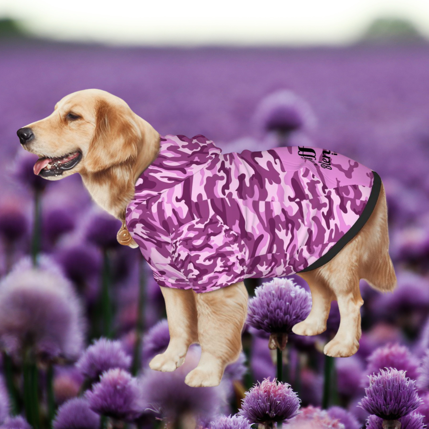 Blending in Style: Purple Camo Doggy Hoodie for Trendy Tails, Pruple Camouflage