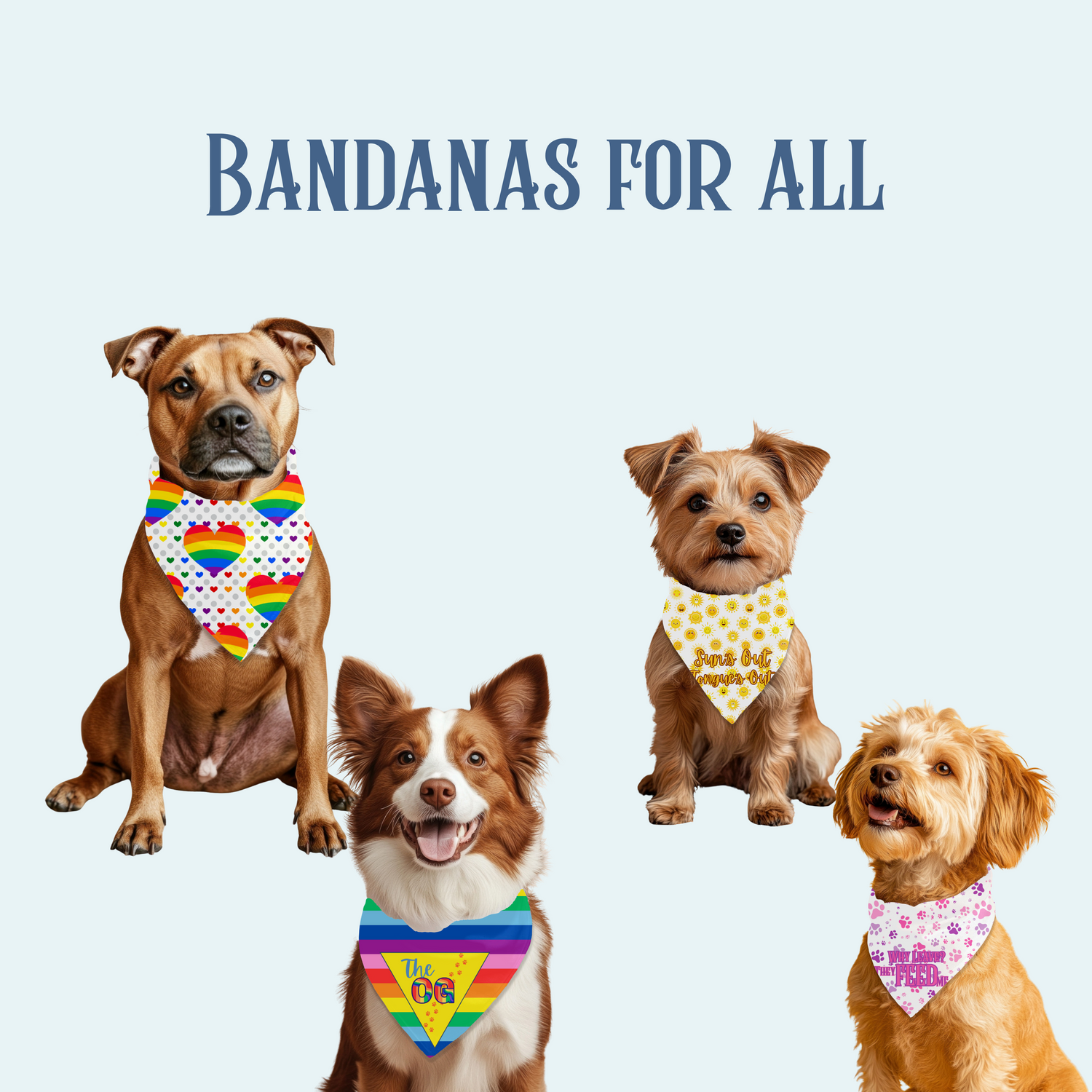 Bandanas for All