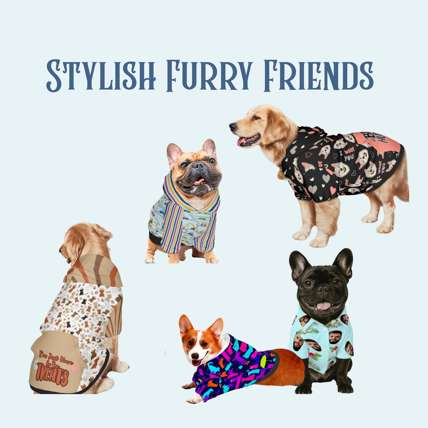 Stylish Furry Friends