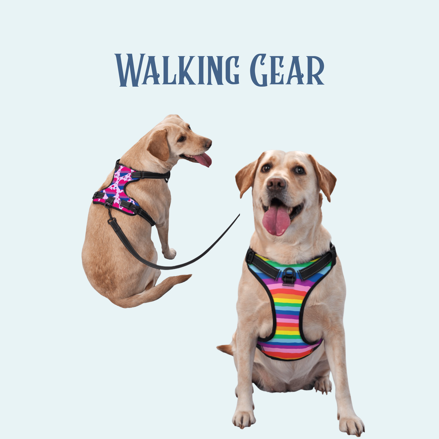 Walking Gear