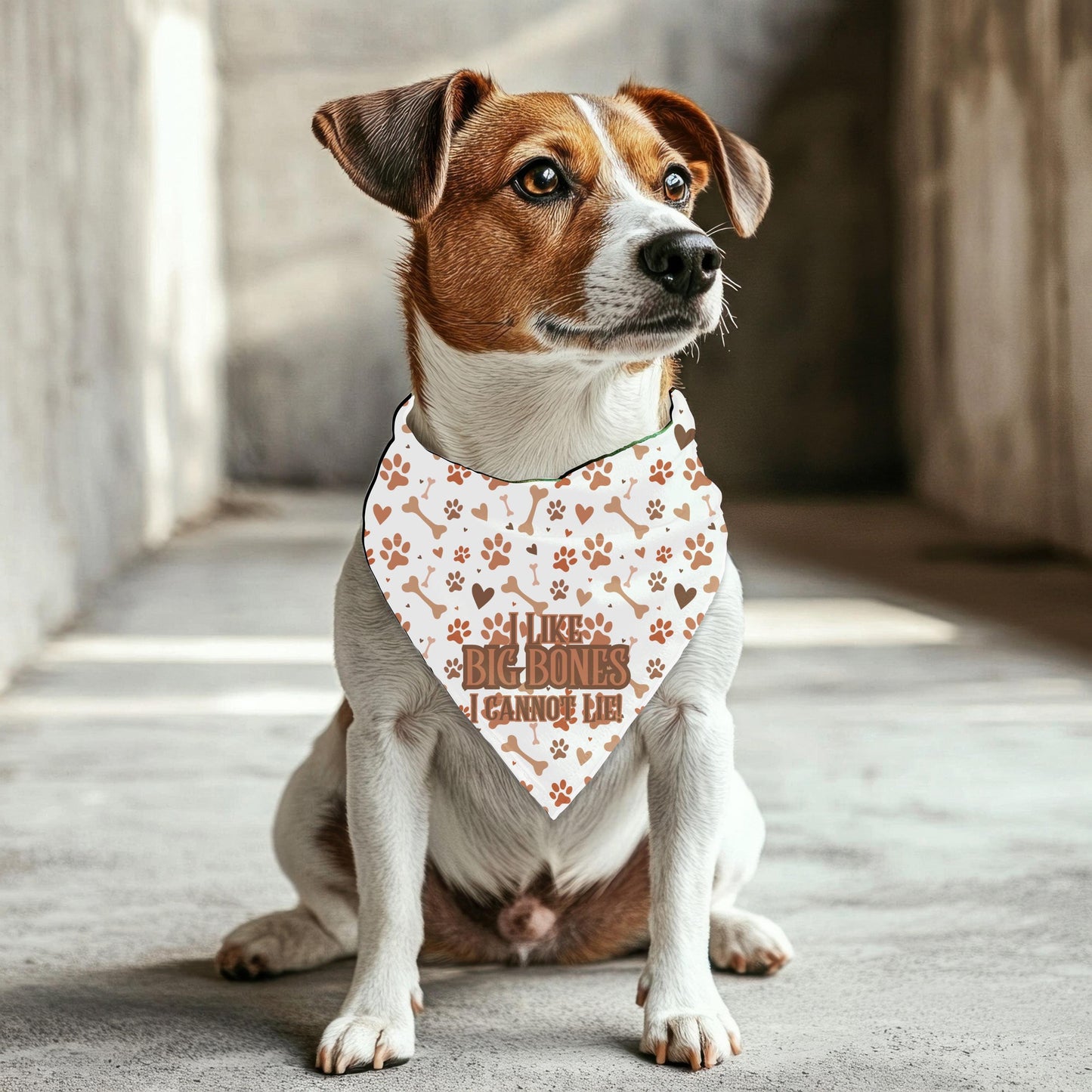 No Lying, I like Big Bones I Cannot Lie Cute Small Dog Bandana, Features Reversible to Treats Welcome, Perfect for Walks to the Cafe