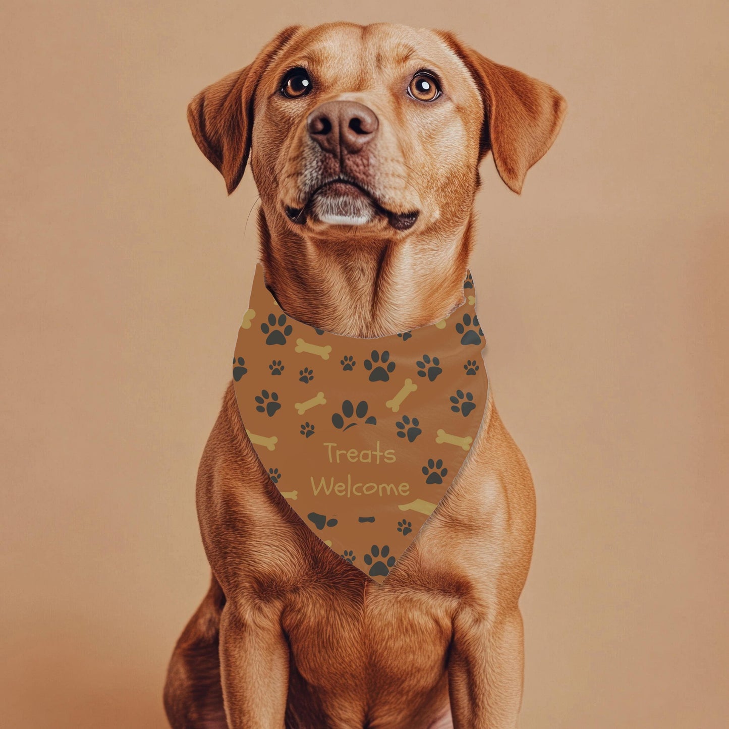 I like Big Bones, I cannot Lie. Large Dog Bandana, Reversible to Treats Welcome, Custom Dog Bandana, Perfect for Dog Park Fun