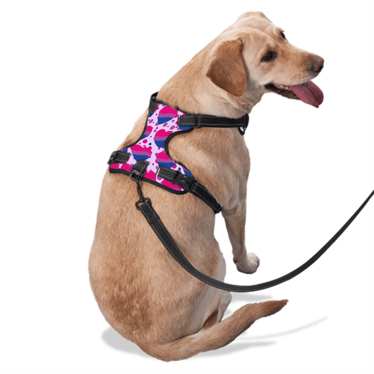Bisexual Flag Design, Pride Fashion Dog & Cat Harness - Several Sizes, Comfortable & Stylish