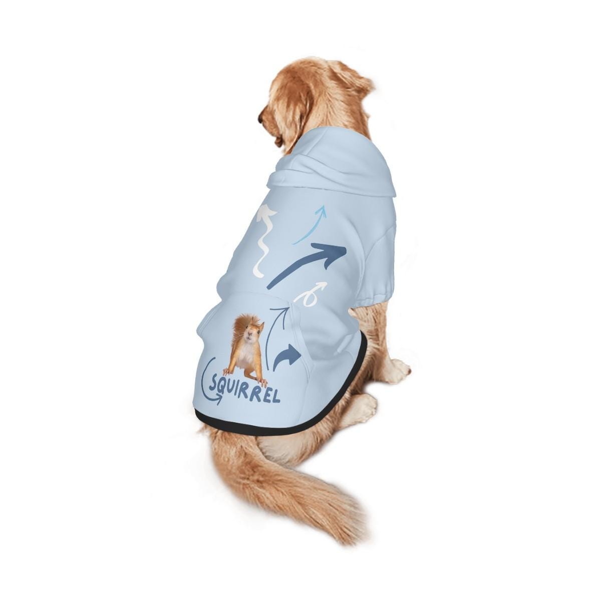 Squirrel, squirrel, always looking for squirrels, This is a great hoodie for the Park for that ADHD Dog, Comes in Sizes Small Through XXL