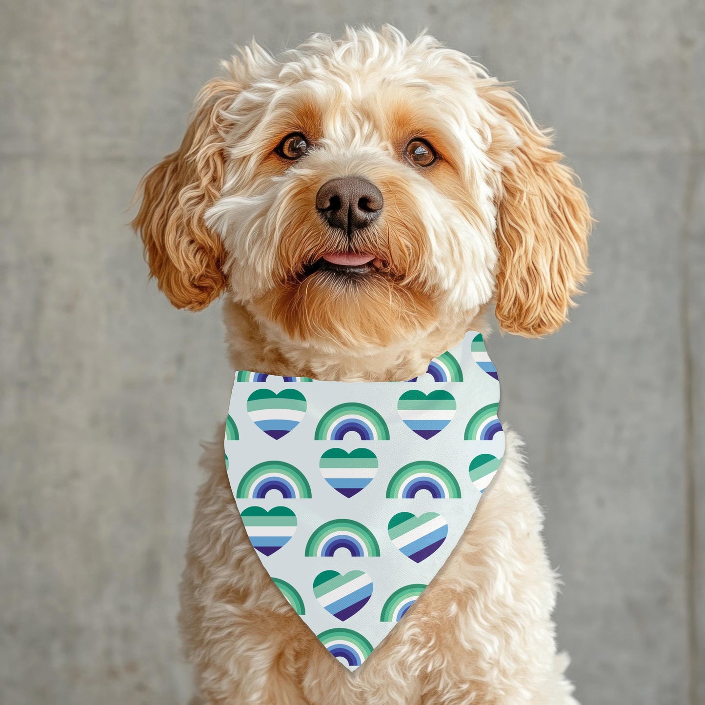 Small Dog Gay Pride Flag for Boys Who Love Boys, Fun Bandana to Wear to Pride and the Dog Park, Fashionable, Boys Who Love Boys Fashion