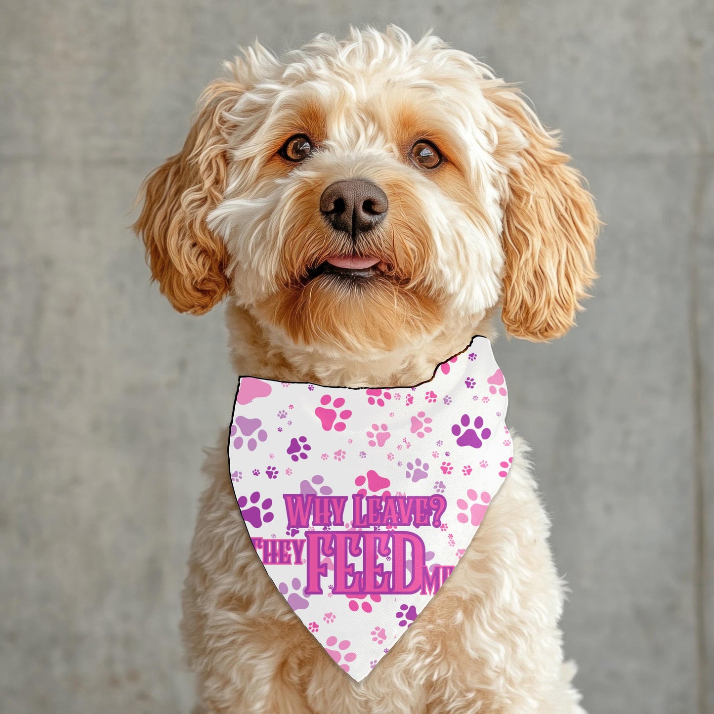 I Still Live with my Parents Small Dog bandana, Why Leave, They Feed Me on the Reversed Side, Pink and Purple Bandana, Perfect for Outings
