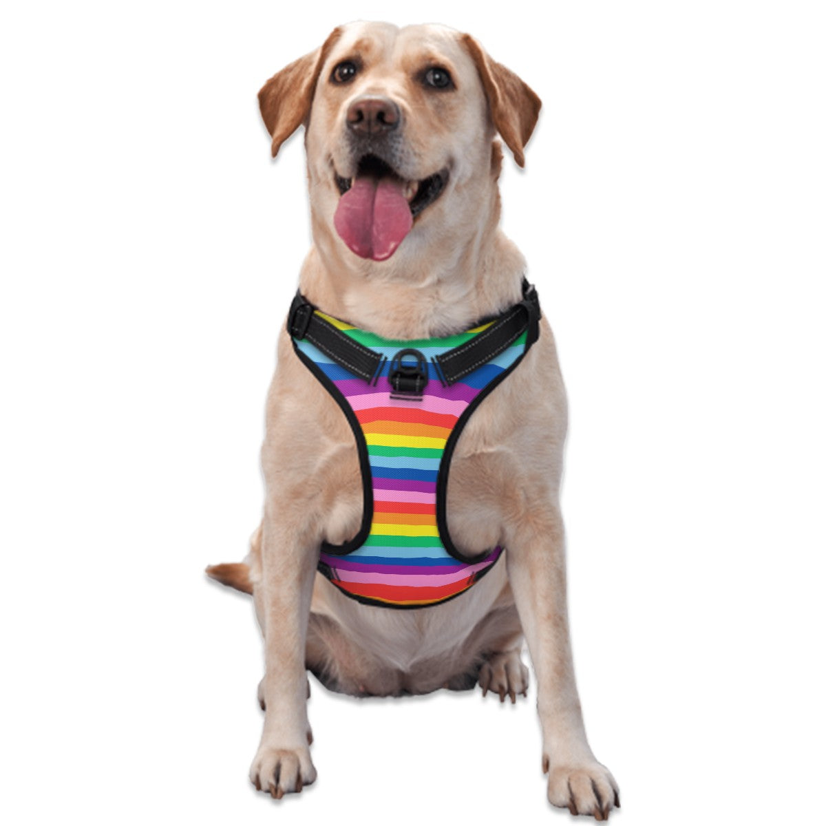 Pride Theme Dog Walking Harness | Original Pride Flag for Small to Large Dogs