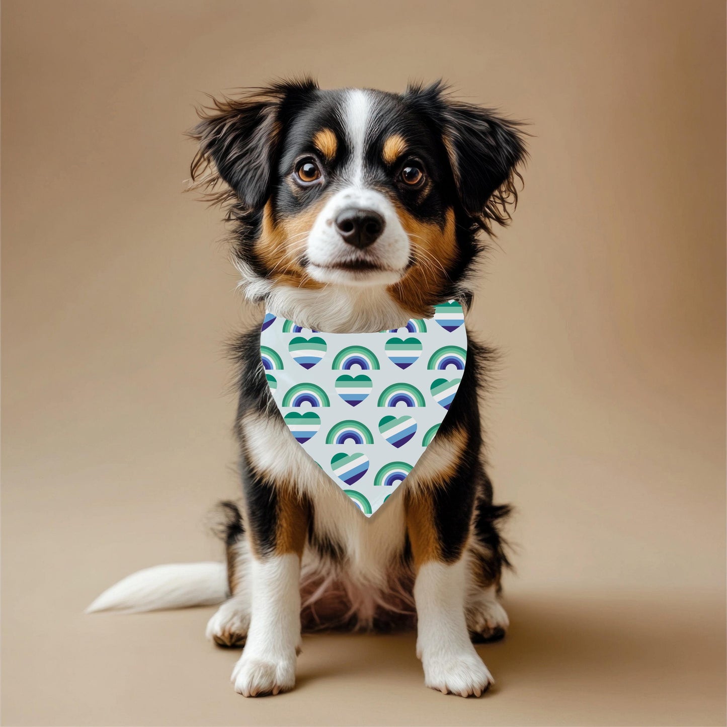 Small Dog Gay Pride Flag for Boys Who Love Boys, Fun Bandana to Wear to Pride and the Dog Park, Fashionable, Boys Who Love Boys Fashion