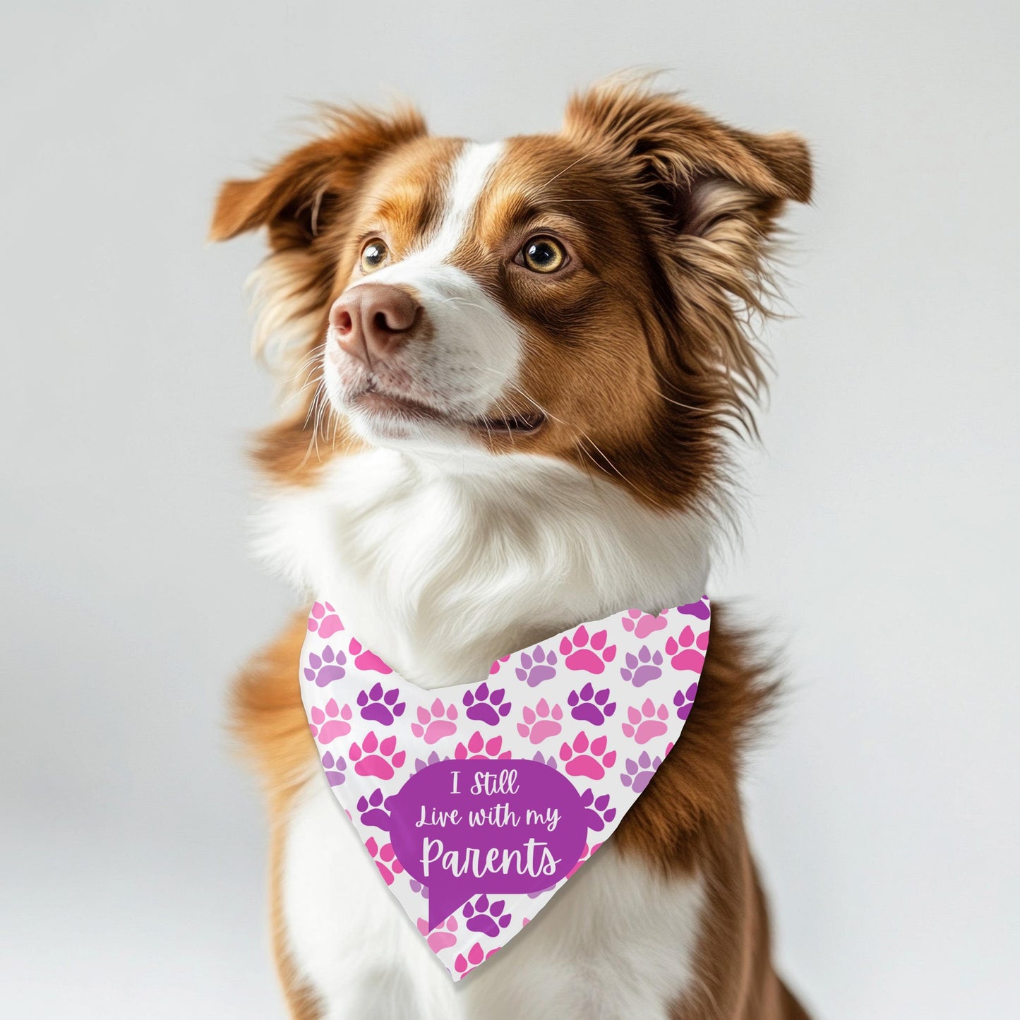 I Still Live with my Parents Small Dog bandana, Why Leave, They Feed Me on the Reversed Side, Pink and Purple Bandana, Perfect for Outings