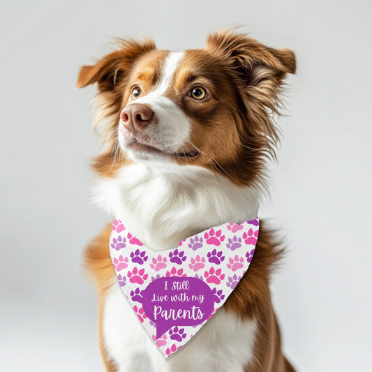 I Still Live with my Parents Small Dog bandana, Why Leave, They Feed Me on the Reversed Side, Pink and Purple Bandana, Perfect for Outings