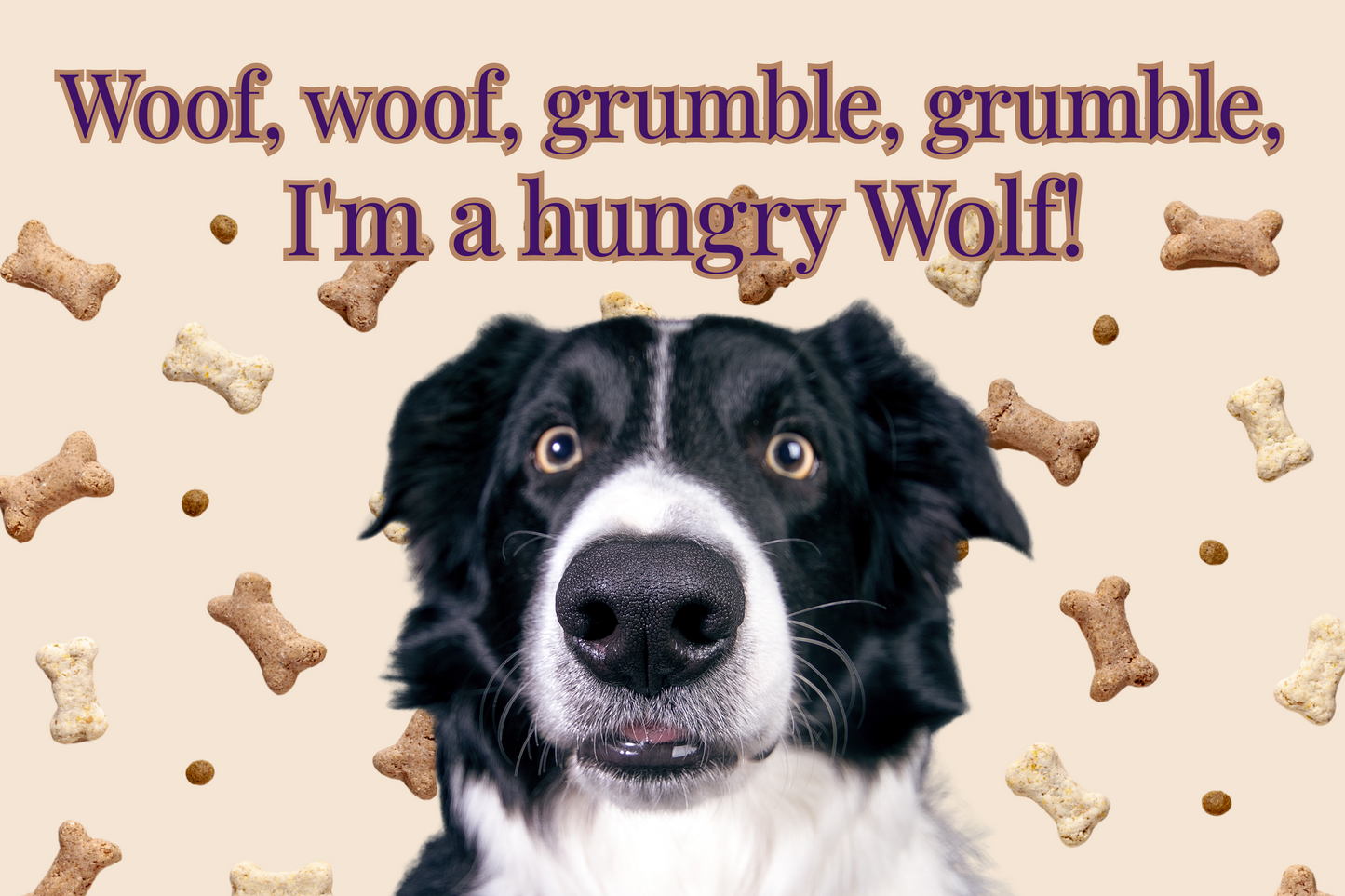 Funny Dog  Face Food Placemat - Food Mat to Keep Floors Clean, & Dog Choices, So FUN