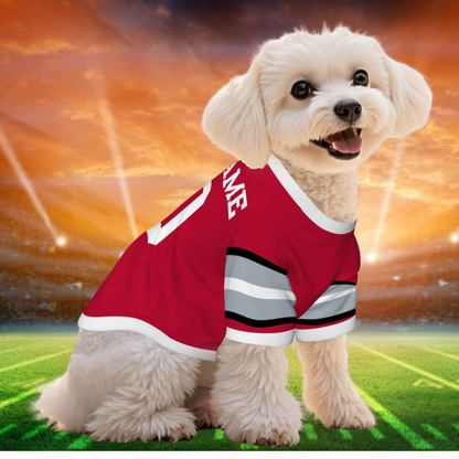 Ready to Show BUCKEYE Pride? Personalized Ohio Buckeyes Sports Jerseys for Pets - Dogs & Cats, Game Day Favorite & Tailgating Gem