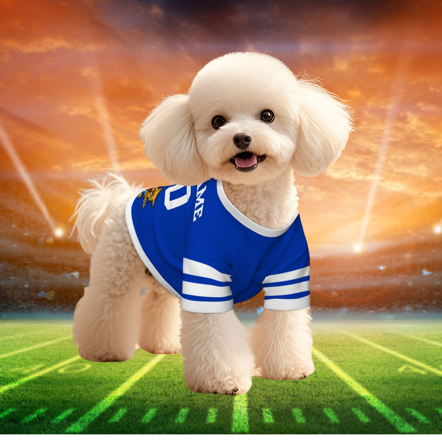 Everyday Wear UK Wildcat Hoodie Shirt for Small Dogs – Perfect for Any Outing