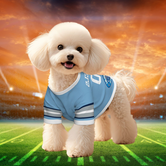 North Carolina Tar Heels Pet Jerseys - Customizable Game Day Gear for Dogs & Cats