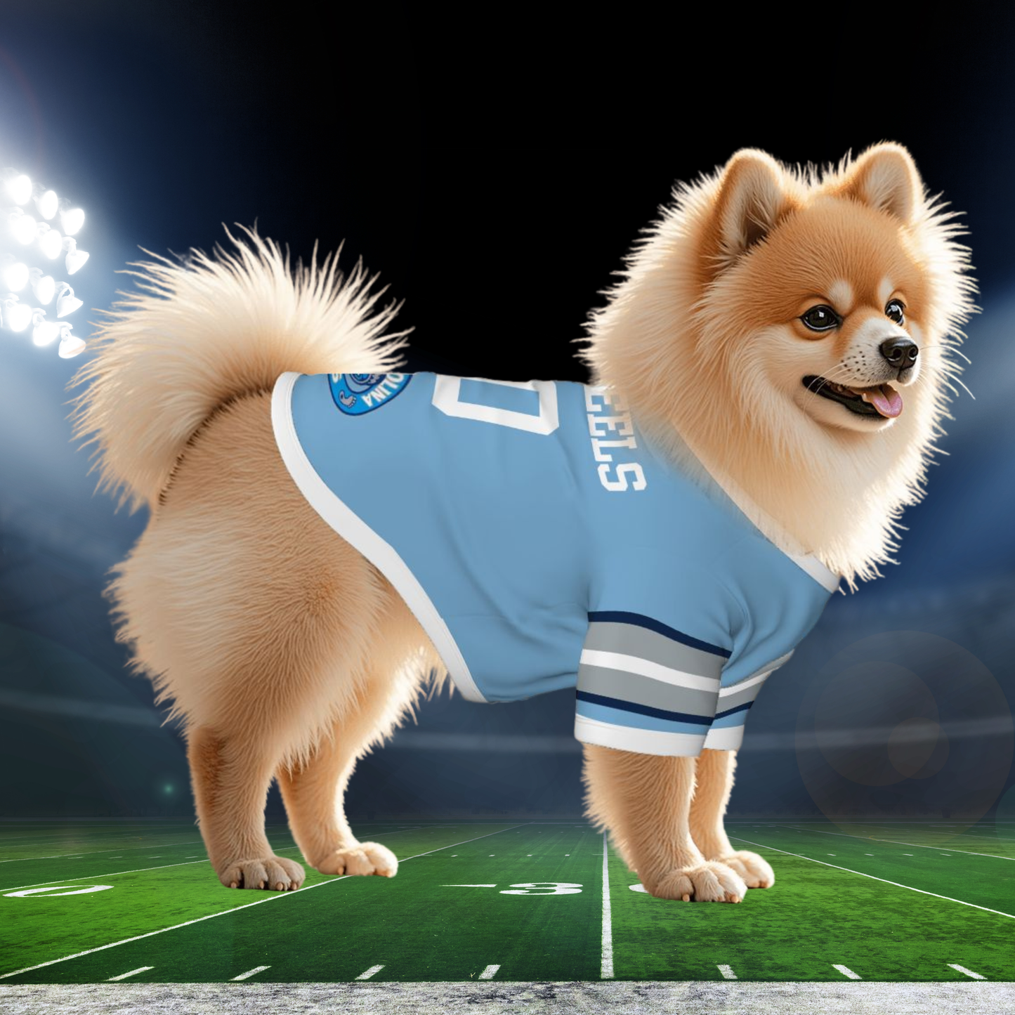 North Carolina Tar Heels Pet Jerseys - Customizable Game Day Gear for Dogs & Cats