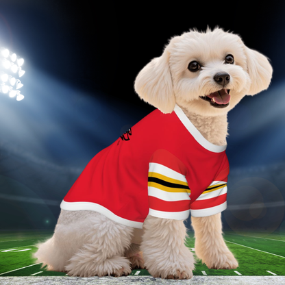 University of Louisville Cardinals Dog & Cat Hoodie, CARDINALS Jersey Or Personalize for Your BFF, Wear to Tailgating and Sporting Events