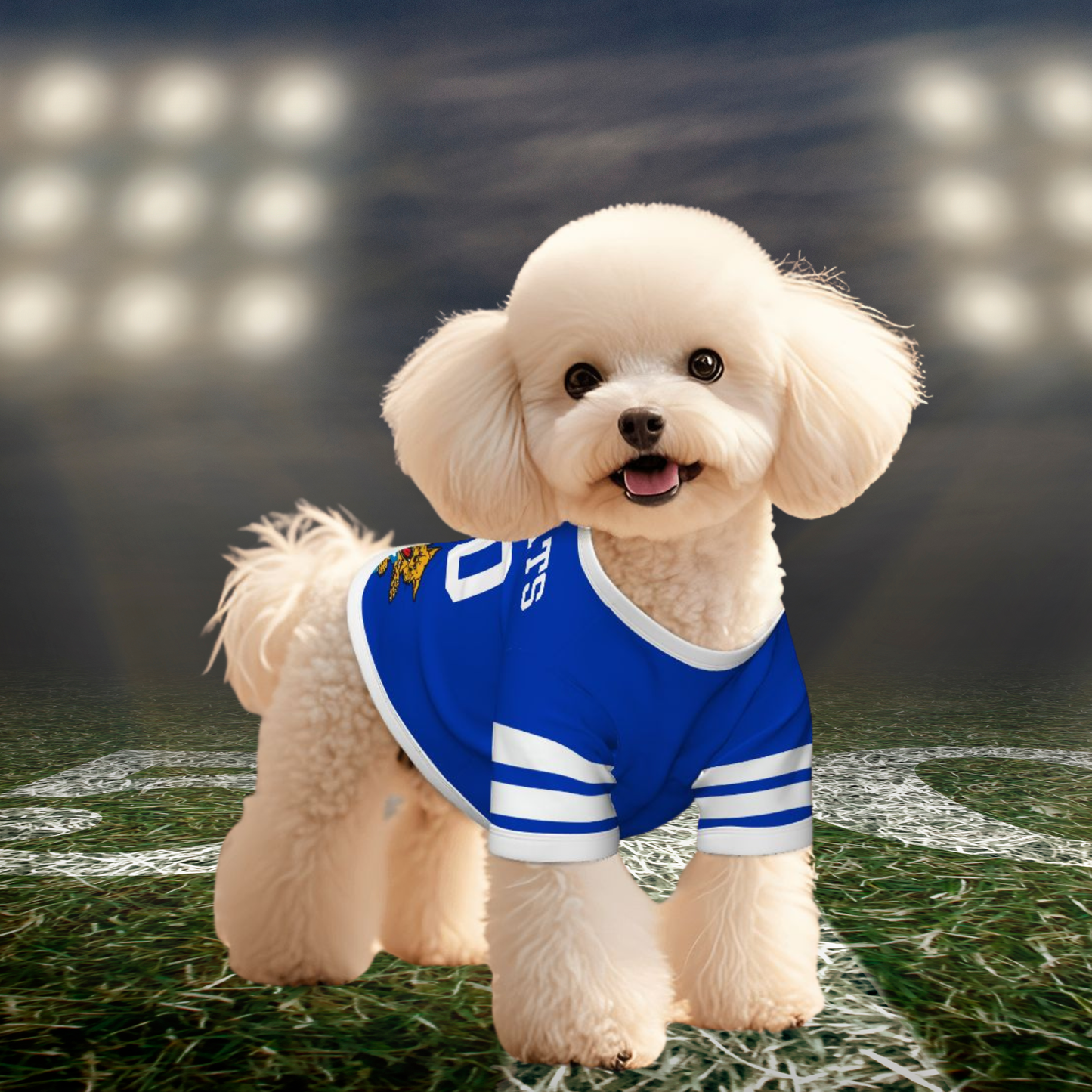 Everyday Wear UK Wildcat Hoodie Shirt for Small Dogs – Perfect for Any Outing