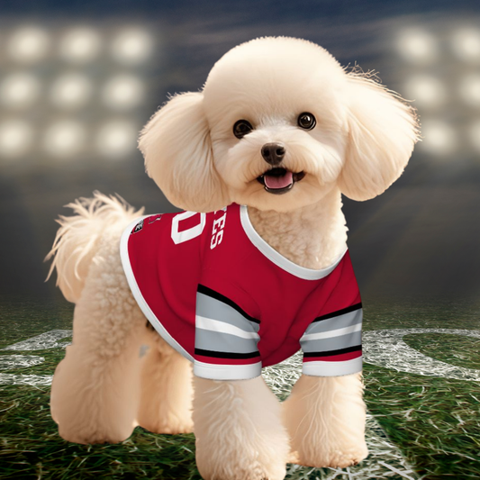 Ready to Show BUCKEYE Pride? Personalized Ohio Buckeyes Sports Jerseys for Pets - Dogs & Cats, Game Day Favorite & Tailgating Gem