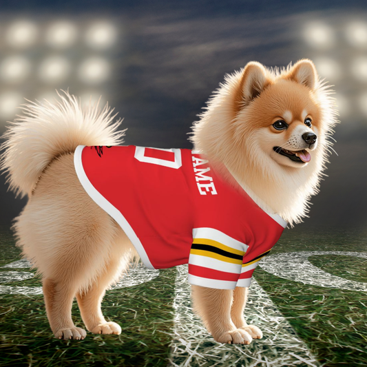 University of Louisville Cardinals Dog & Cat Hoodie, CARDINALS Jersey Or Personalize for Your BFF, Wear to Tailgating and Sporting Events