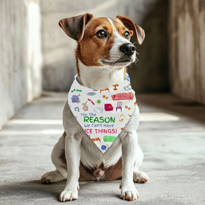 Why We Can't Have Nice Things Dog Tank, Funny Pet Shirt, Top for that Naughty Doggie that loves to Chew on Everything, Wear A Cool Tank Top