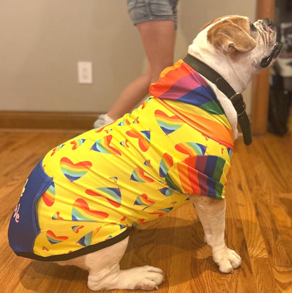 Love is Love Dog Hoodie with Pride Hearts in Rainbow Colors, Perfect gift for Dog Lover Friendd, Great for PRIDE PARADE