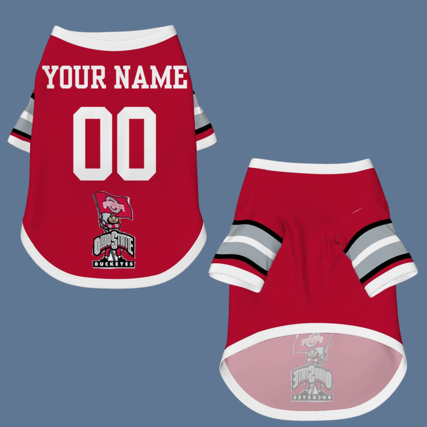 Ready to Show BUCKEYE Pride? Personalized Ohio Buckeyes Sports Jerseys for Pets - Dogs & Cats, Game Day Favorite & Tailgating Gem
