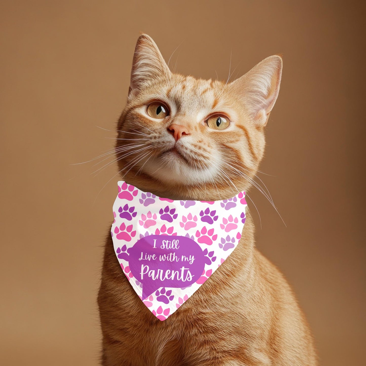 I Still Live With My Parents, They Feed Me, Pink and Purple Paws Cat Bandana - Fun Pet Neckwear, Fashionable Cat Wear,